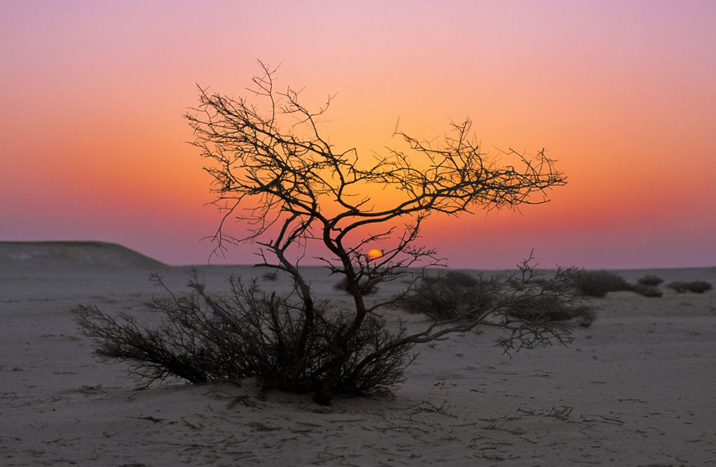 The sun rises in the Qatar countryside. Photo by Sam Agnew.
