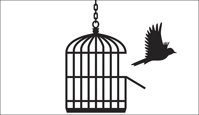 Middle Eastern studies, Greta Thunberg and institutional autonomy