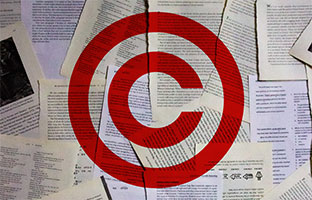 Copyright advocacy and reform update in 2022